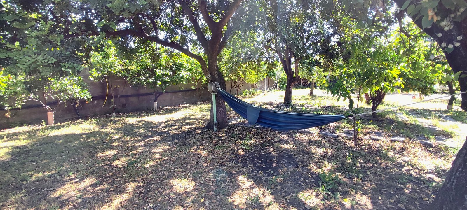 Amaca all’ombra degli alberi nel giardino
